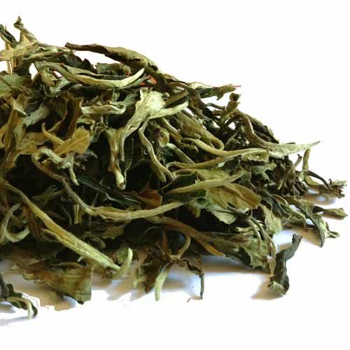 TE BLANCO PAI MU TAN SUPREMO ECOLÓGICO